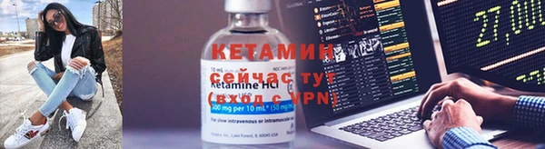 гидра Абаза