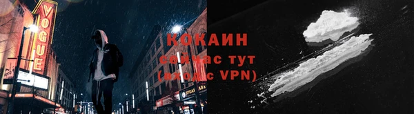 гидра Абаза