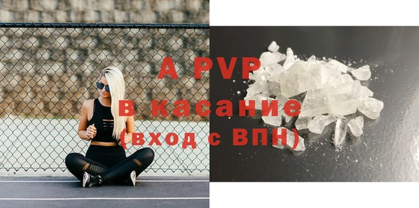 гидра Абаза