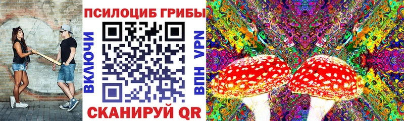 Галлюциногенные грибы мицелий KRAKEN tor Красноуфимск